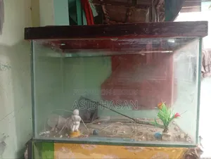 বড় একুরিয়াম