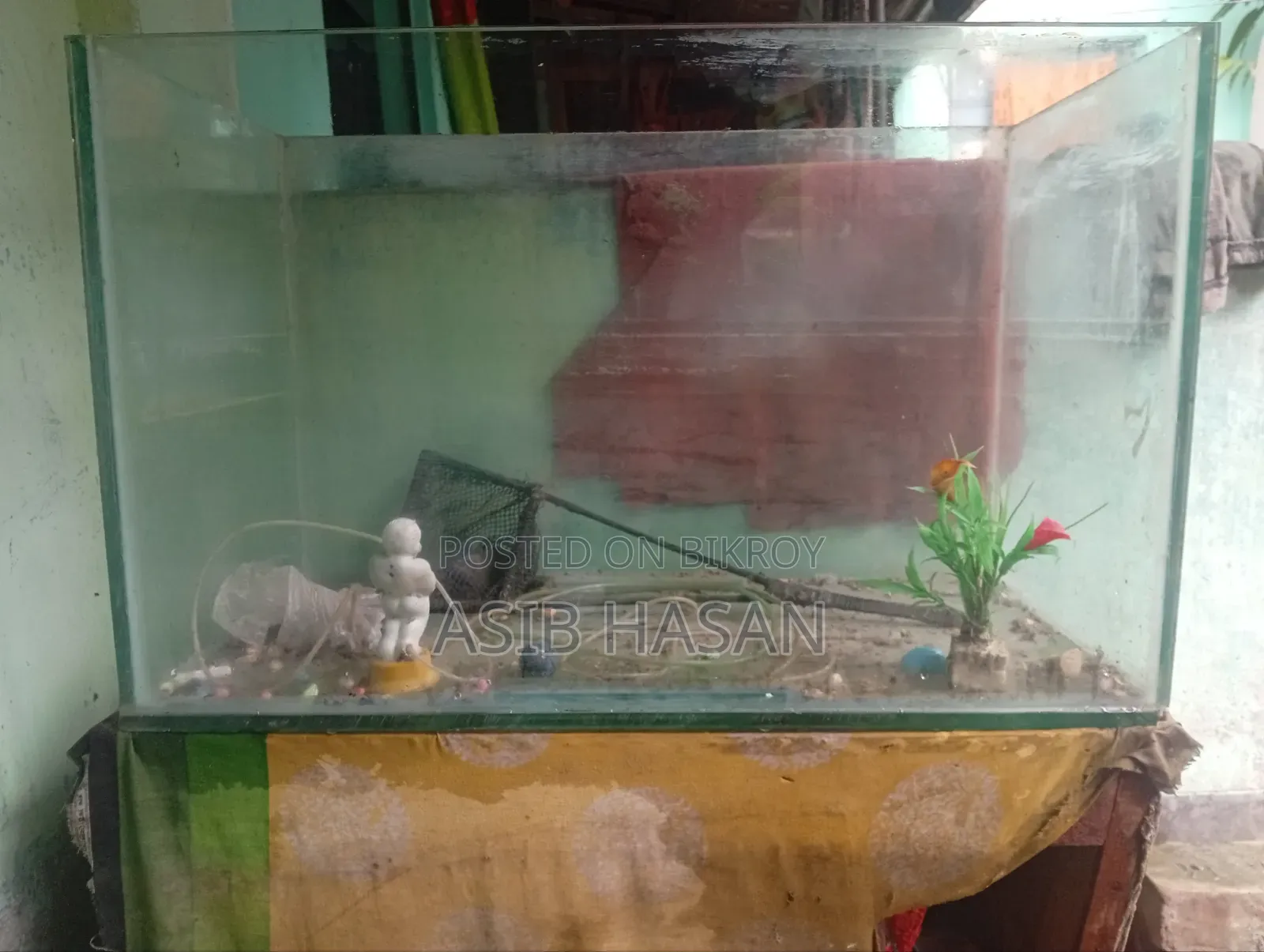 বড় একুরিয়াম