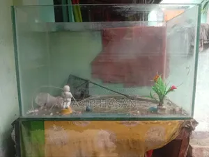 বড় একুরিয়াম