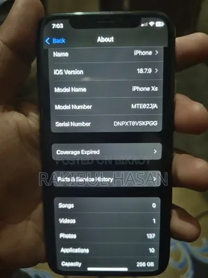 ক্যাট ২৫৬ জিবি গোল্ড