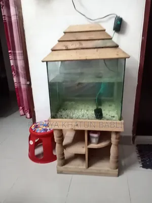 Fish Aquarium