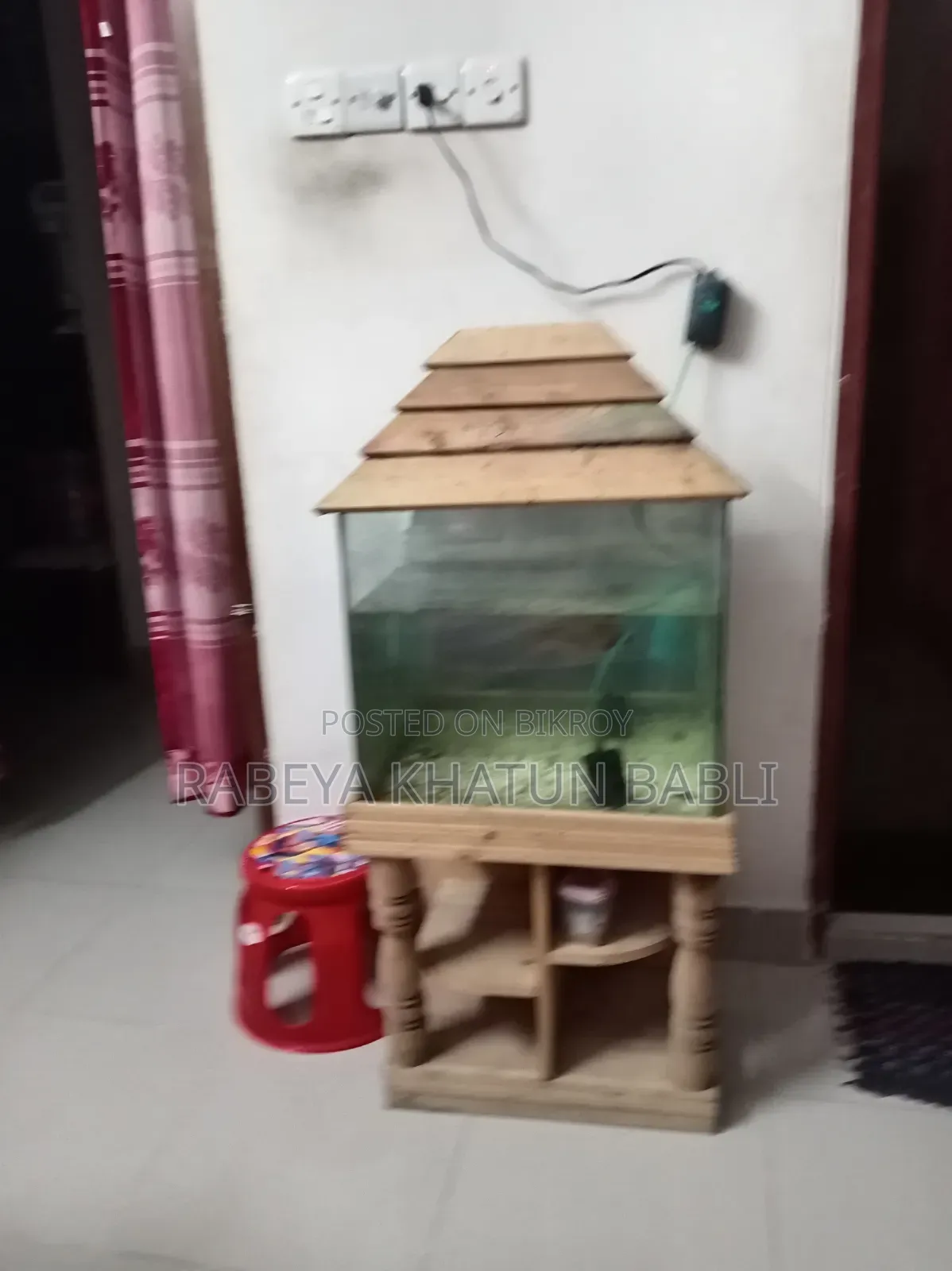 Fish Aquarium