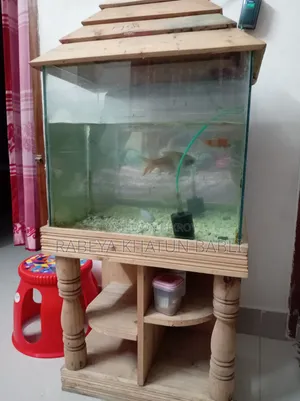Fish Aquarium