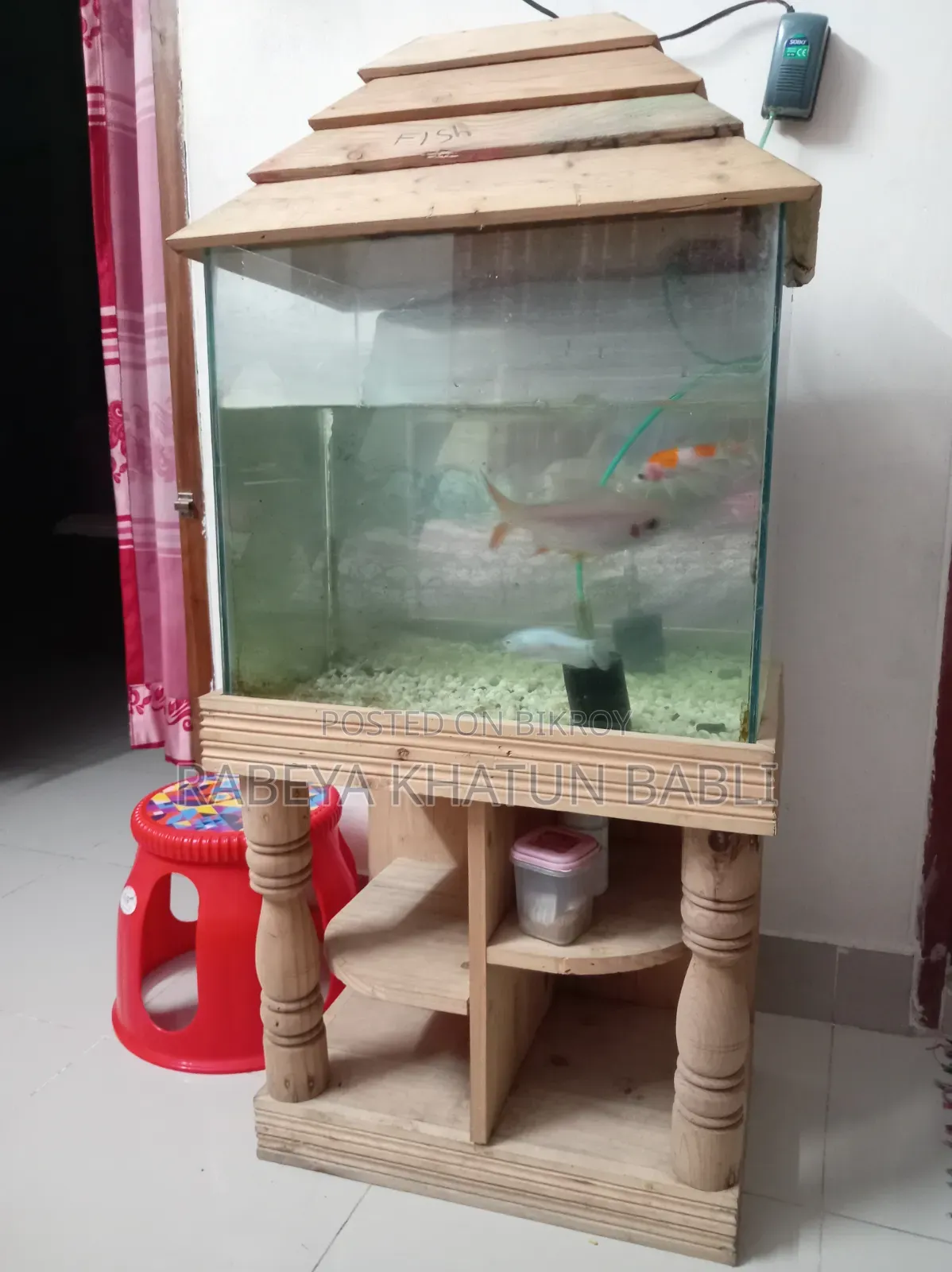 Fish Aquarium