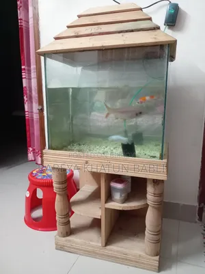 Fish Aquarium
