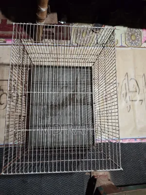 Bird Cage