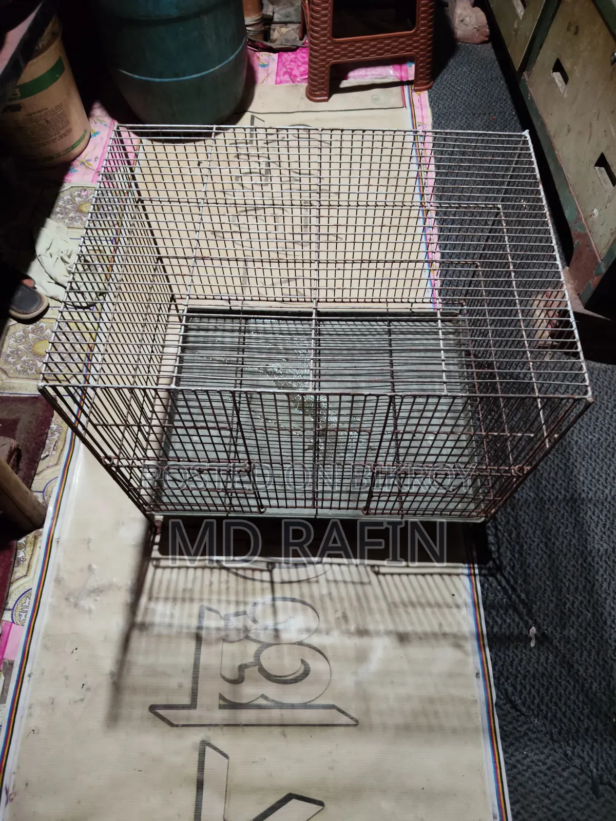 Bird Cage