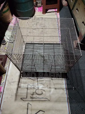 Bird Cage