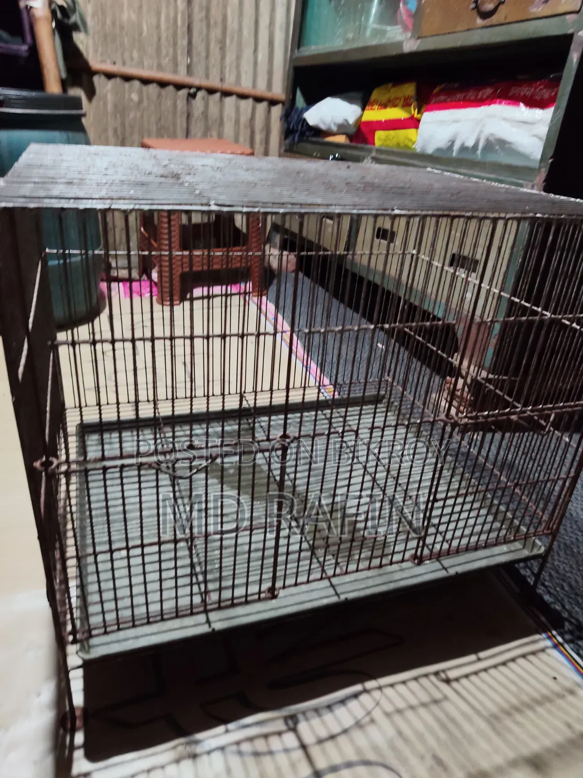 Bird Cage