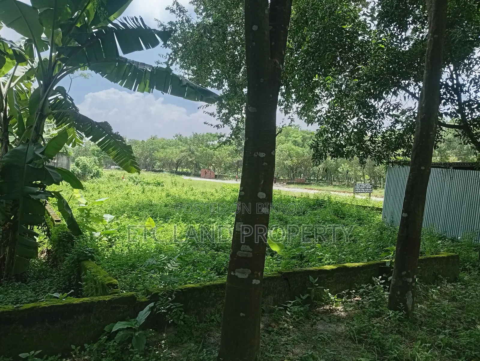 Land for Sale