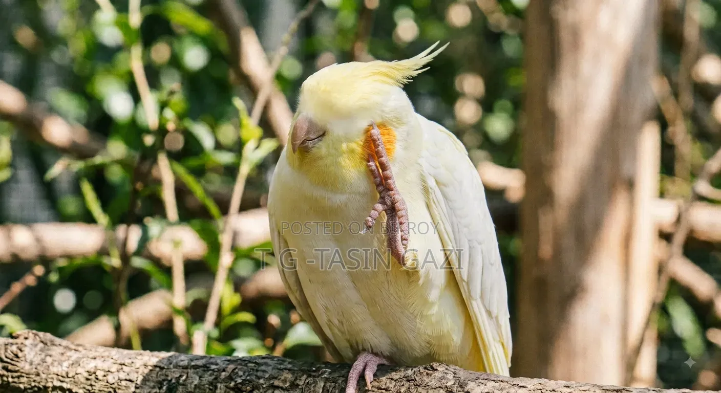 একটি হারানো বিজ্ঞপ্তি