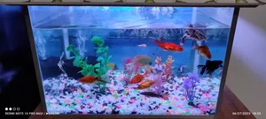 Aquarium Sale Post
