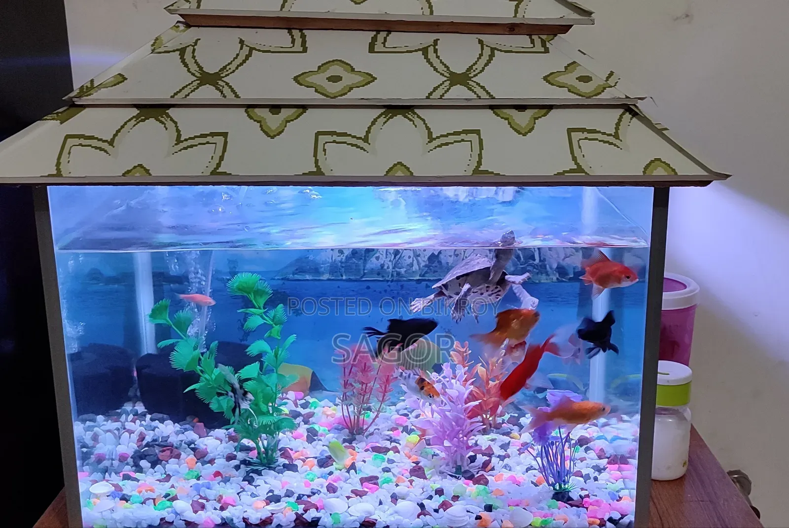 Aquarium Sale Post