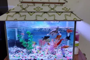 Aquarium Sale Post