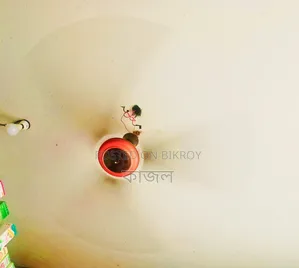বিক্রি হবে
