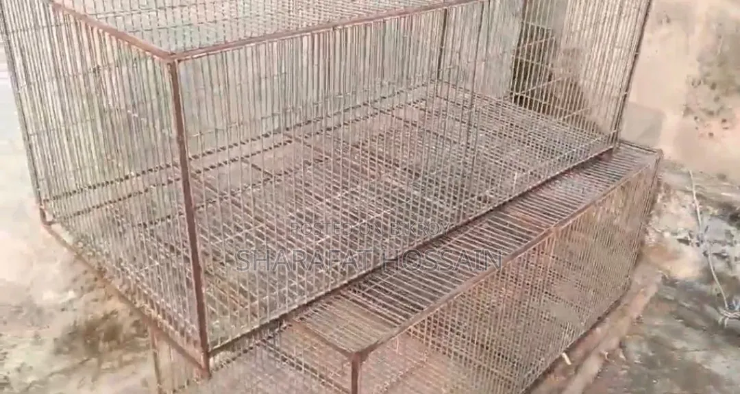 Heavy Cage With Partition