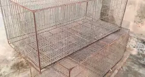 Heavy Cage With Partition