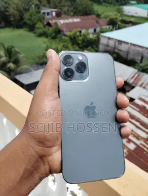 Apple iPhone 13 Pro Max 256 GB Gray