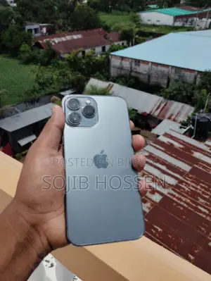 Apple iPhone 13 Pro Max 256 GB Gray