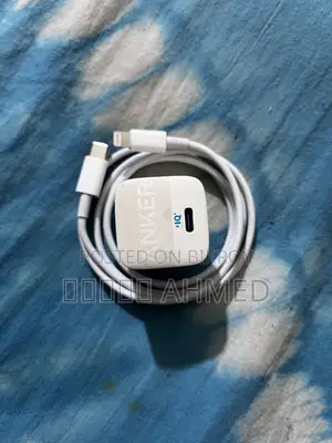20W Power Adapter