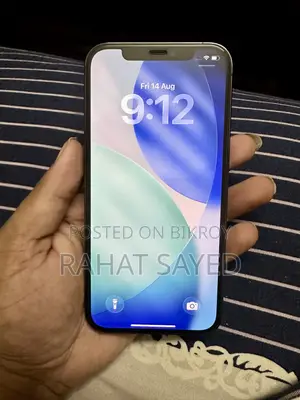 অ্যাপল আইফোন ১২ প্রো ২৫৬ জিবি ব্লু
