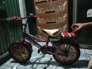 সাইকেল বিক্রয় করবো। ফ্রেশ অবস্থা।