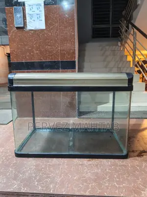 বিক্রির জন্য আমদানীকৃত অ্যাকোয়ারিয়াম