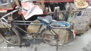 একটি হাতে বানানো সাইকেল বিক্রি হবে