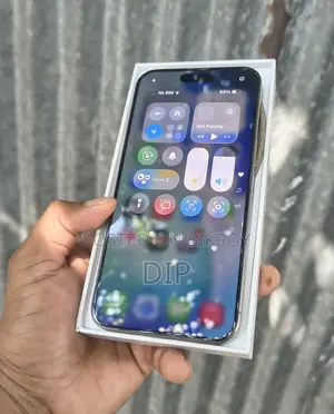 Apple iPhone 15 Pro Max 256 GB Gray