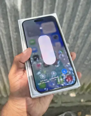 Apple iPhone 15 Pro Max 256 GB Gray