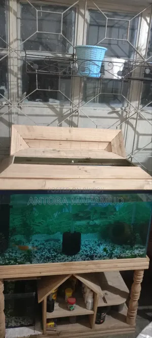 অ্যাকোয়ারিয়াম ফুল সেটআপ