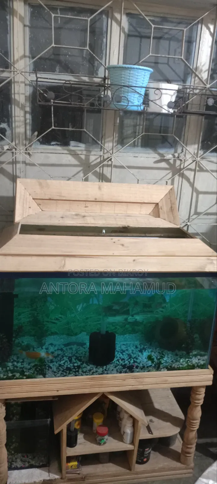 অ্যাকোয়ারিয়াম ফুল সেটআপ