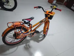 ফুল রানিং সাইকেল