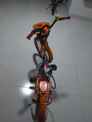 ফুল রানিং সাইকেল