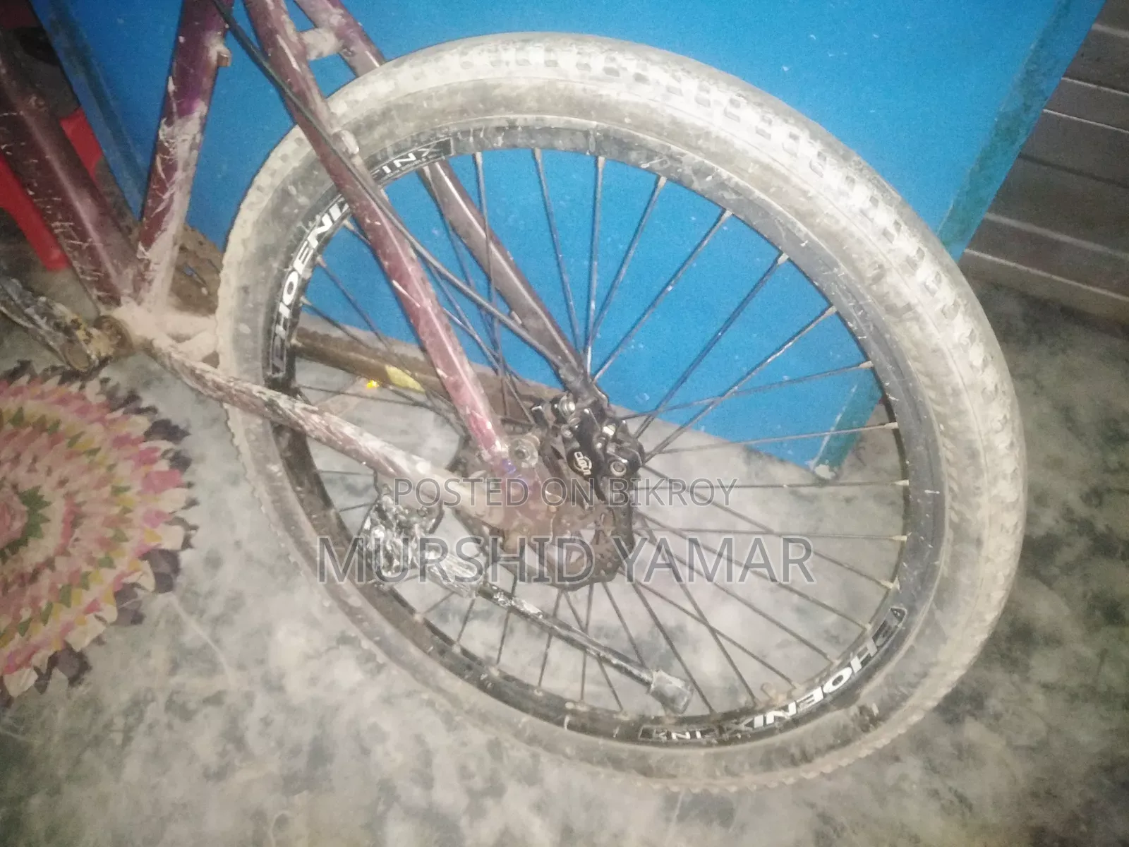 PHONIX Cycle