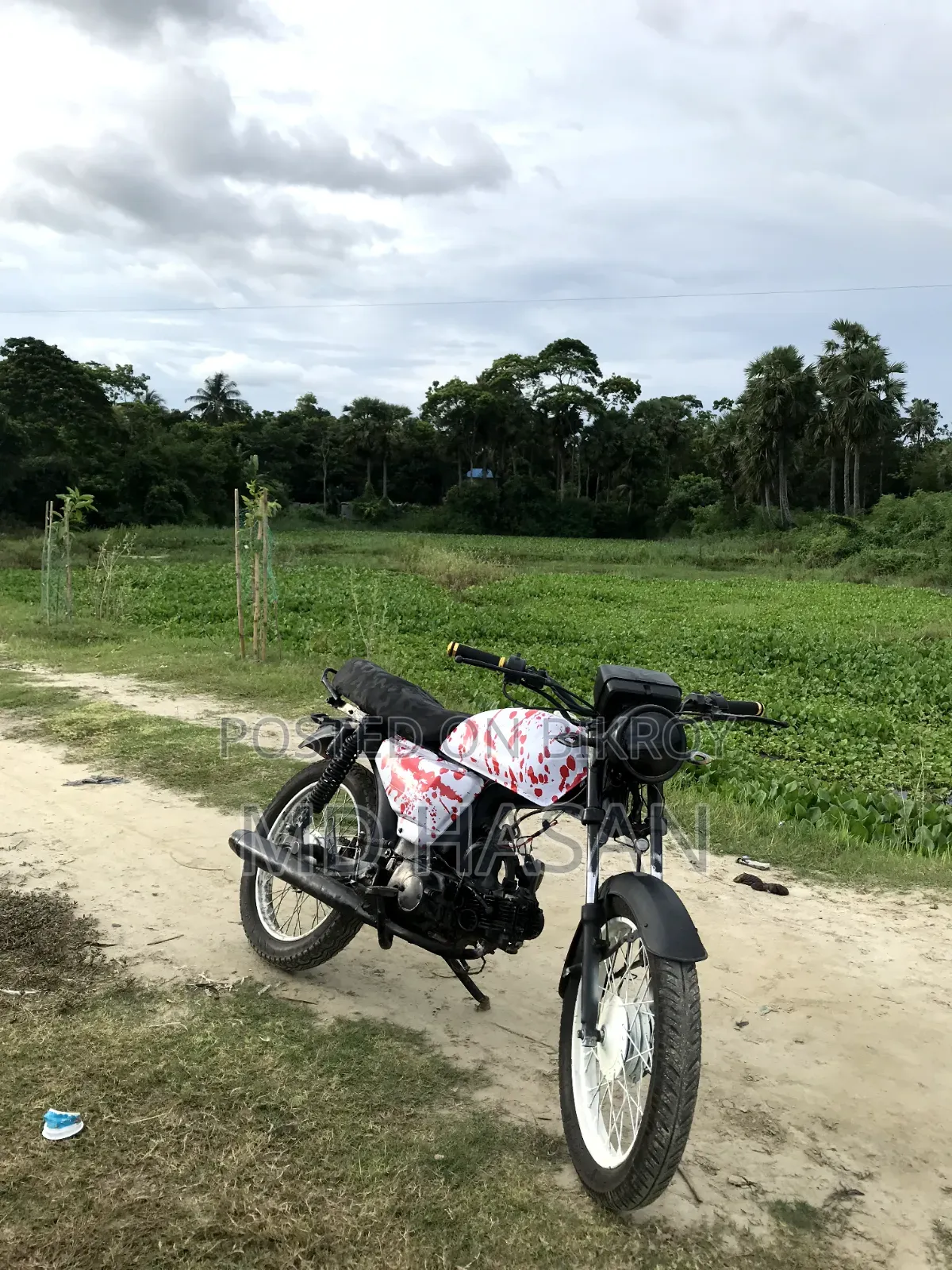 Hero Dawn 100 2010 Red