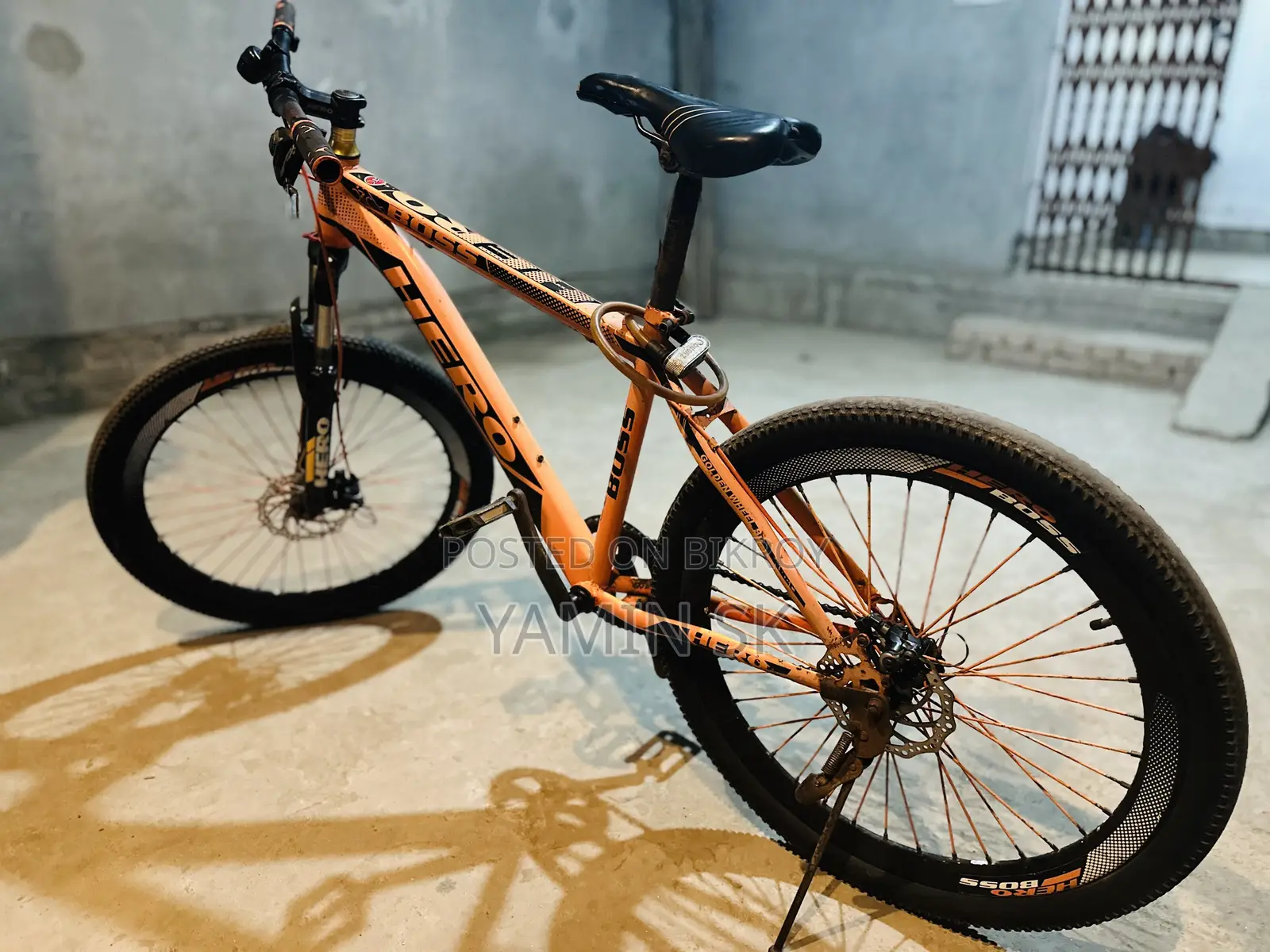 Phoenix Cycle