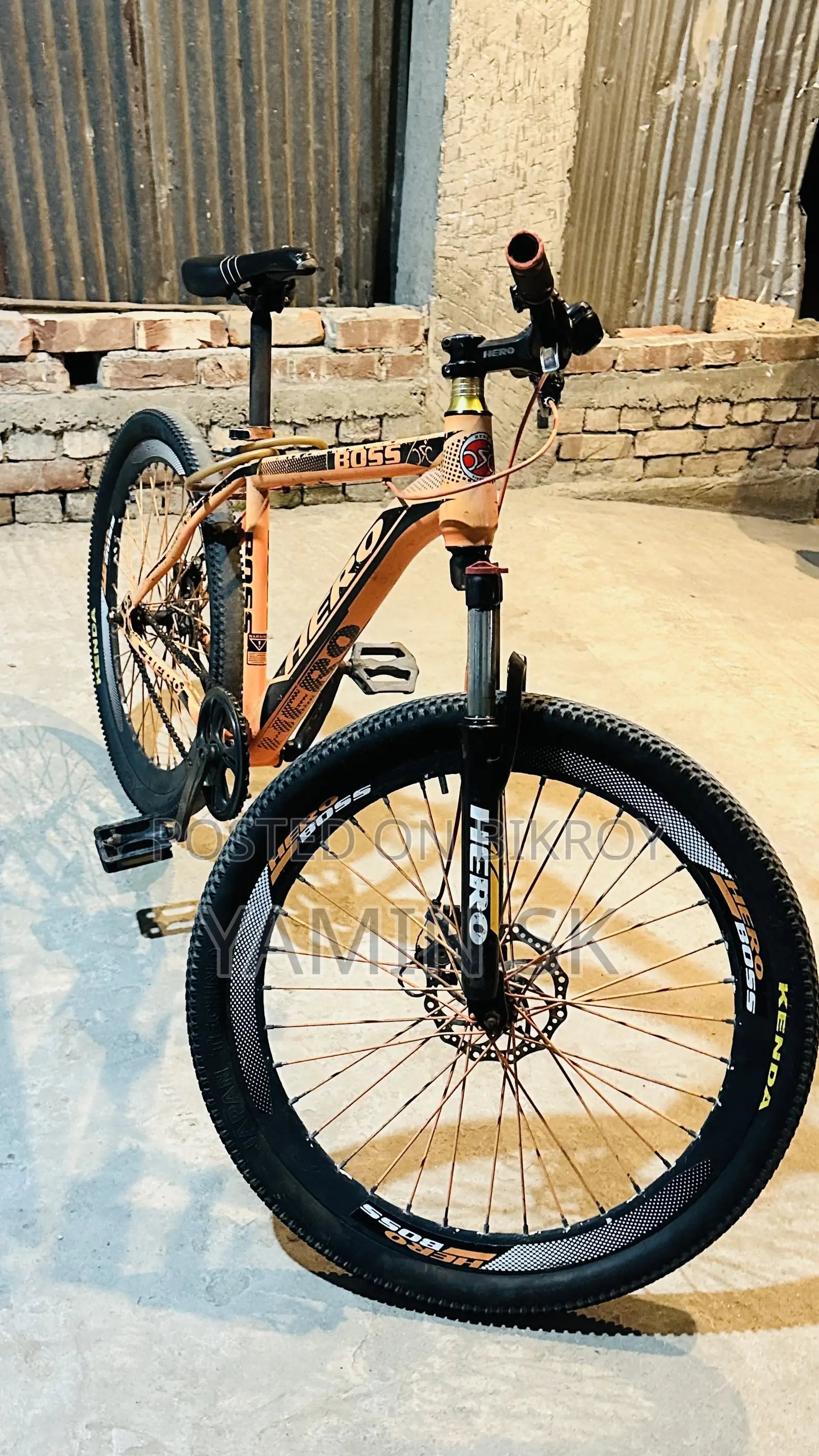 Phoenix Cycle