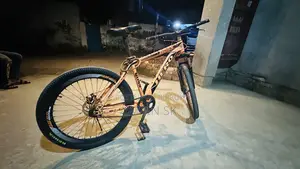 Phoenix Cycle