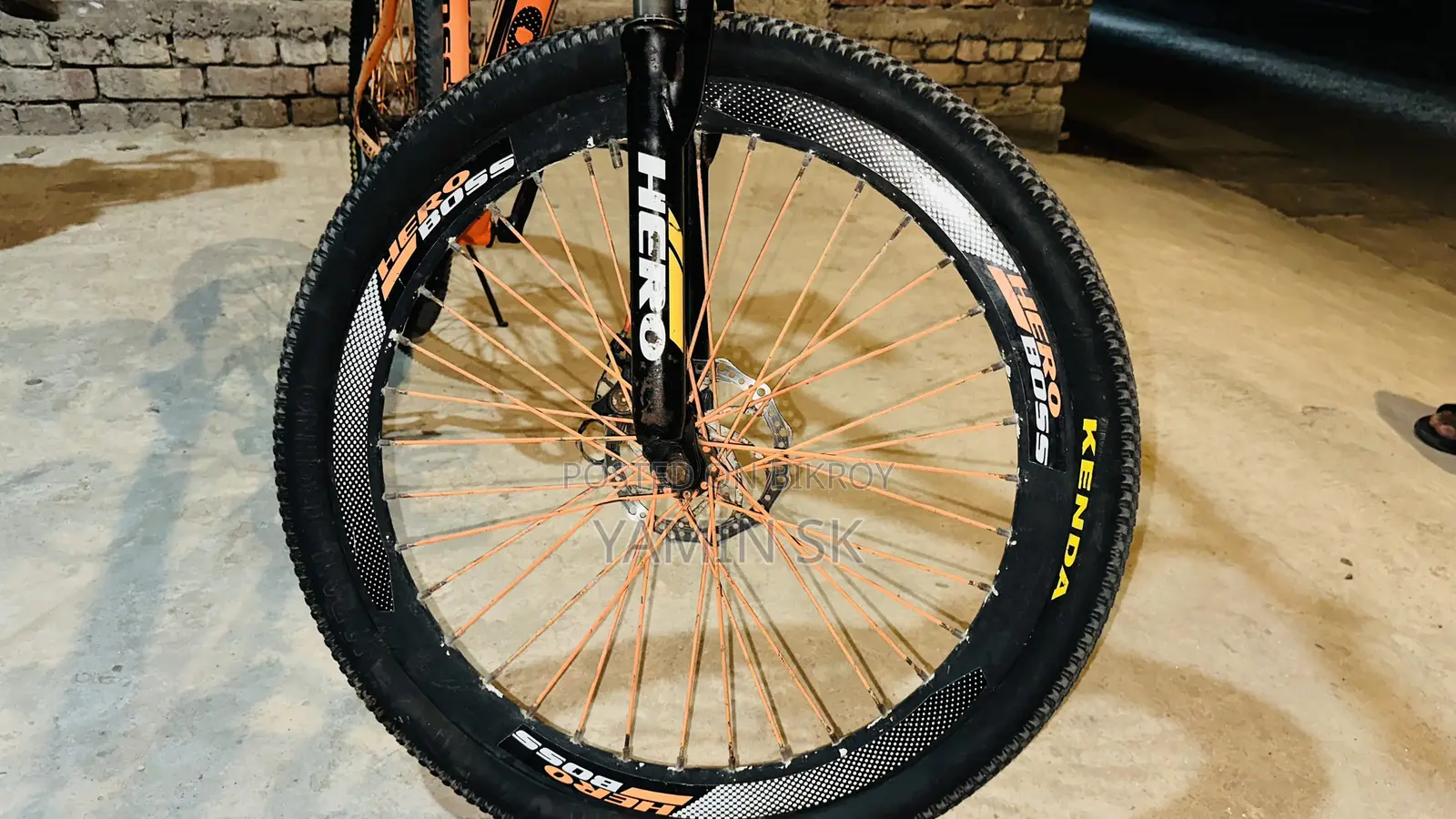 Phoenix Cycle