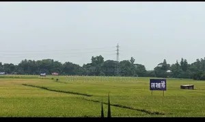 ঢাকা মাওয়া সিটিতে ৩ কাঠা জমি সেরা ভবিষ্যৎ বিনিয়োগ