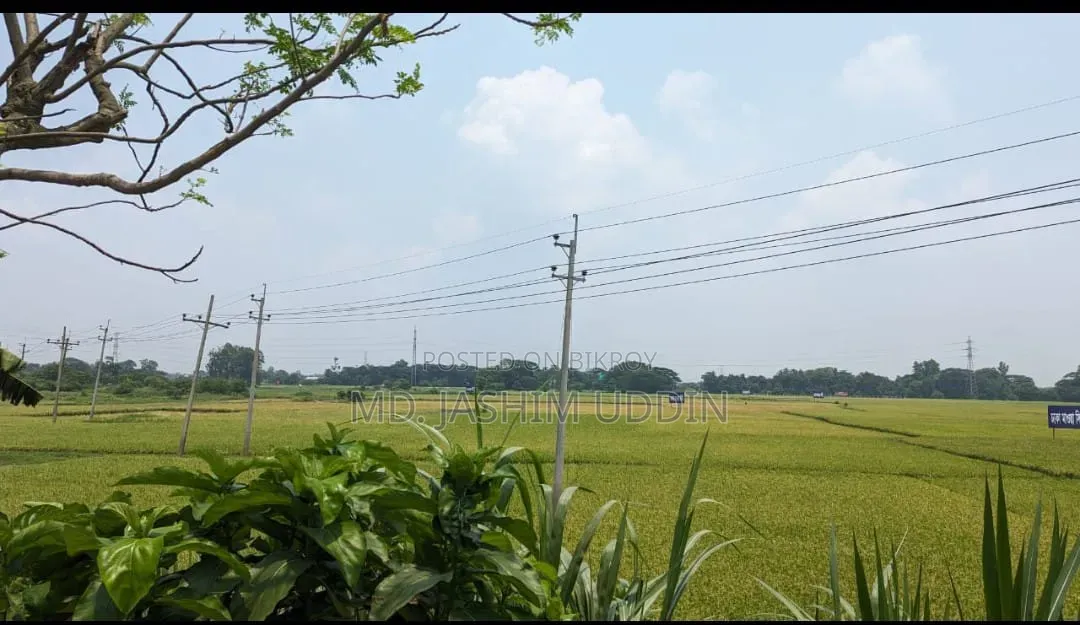 ঢাকা মাওয়া সিটিতে ৩ কাঠা জমি সেরা ভবিষ্যৎ বিনিয়োগ