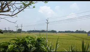 ঢাকা মাওয়া সিটিতে ৩ কাঠা জমি সেরা ভবিষ্যৎ বিনিয়োগ