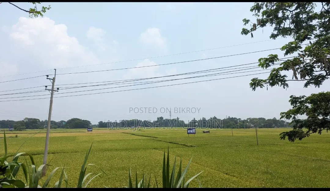 ঢাকা মাওয়া সিটিতে ৩ কাঠা জমি সেরা ভবিষ্যৎ বিনিয়োগ