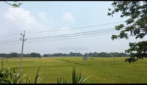ঢাকা মাওয়া সিটিতে ৩ কাঠা জমি সেরা ভবিষ্যৎ বিনিয়োগ