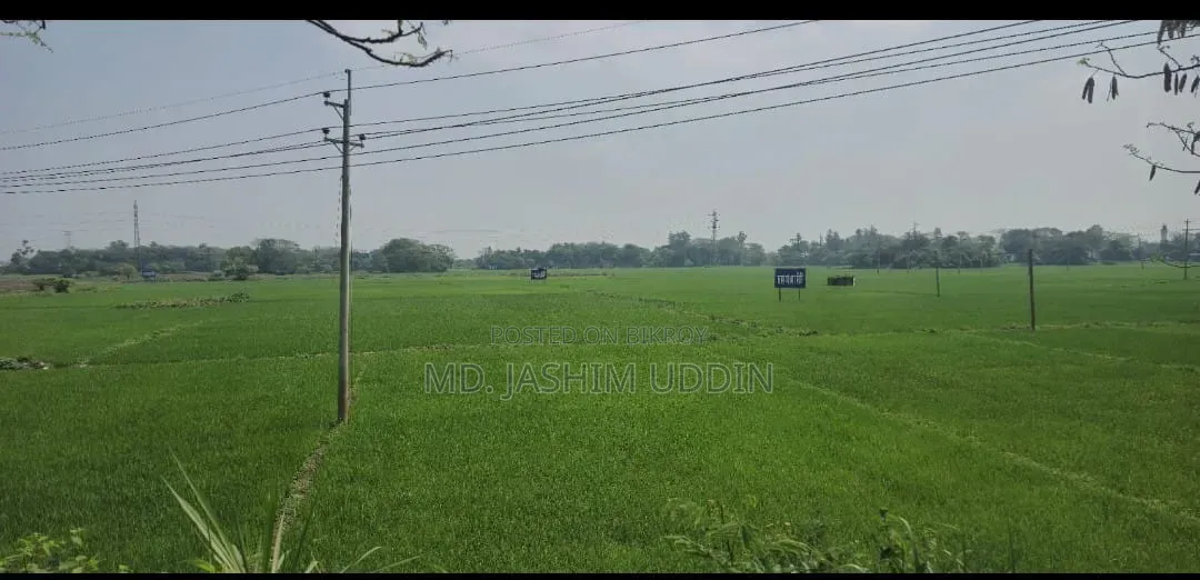 ঢাকা মাওয়া সিটিতে ৩ কাঠা জমি সেরা ভবিষ্যৎ বিনিয়োগ