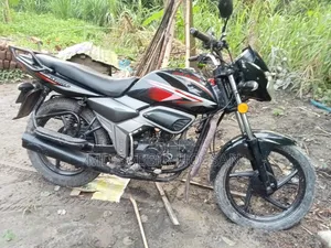 এইচ পাওয়ার যারা-১০০ ২০১৭ কালো