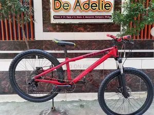 Bicycle 26