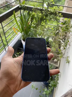 অ্যাপল আইফোন ১২ ১২৮ জিবি ব্লু