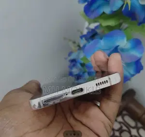 Samsung Galaxy Note 10.1 N8010 256 GB Silver